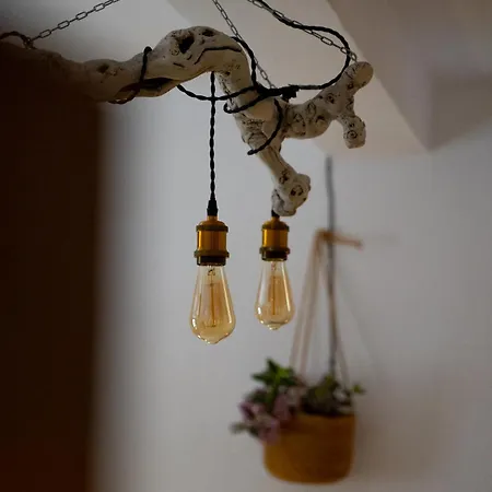 La Bodega D'leti Cr-cc-135 Dom wakacyjny *