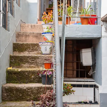 La Bodega D'leti Cr-cc-135 *