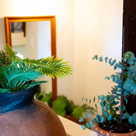 La Bodega D'leti Cr-cc-135 Dom wakacyjny