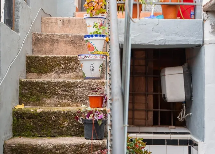 La Bodega D'leti Cr-cc-135 *